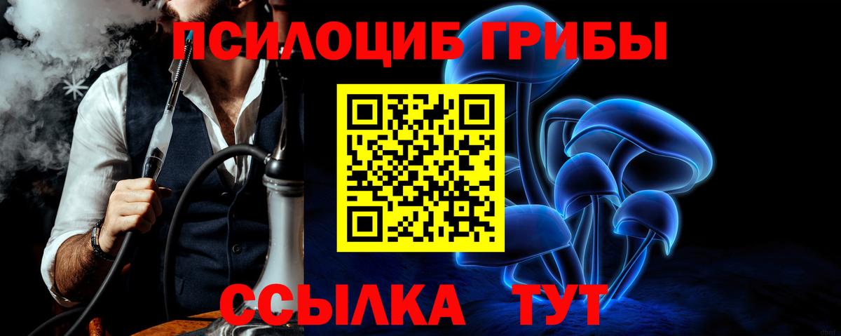 Галлюциногенные грибы ЛСД  Вход с VPN  как найти   Псилоцибиновые грибы прущие грибы  Урус-Мартан 
